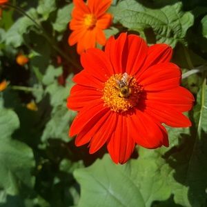 Meet your Posher, Carla